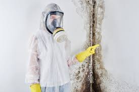 Best Mold Odor Removal Services  in USA